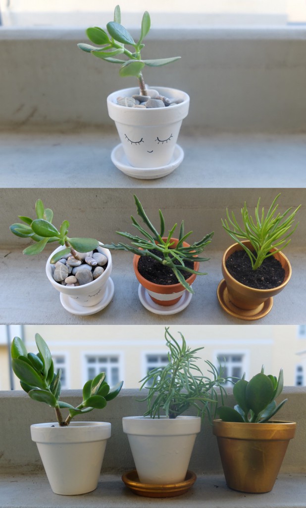 DIY Mini Pflanztöpfe