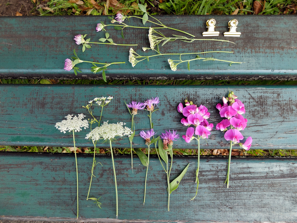 Blumen für den Kinderwagen | Julie Fahrenheit