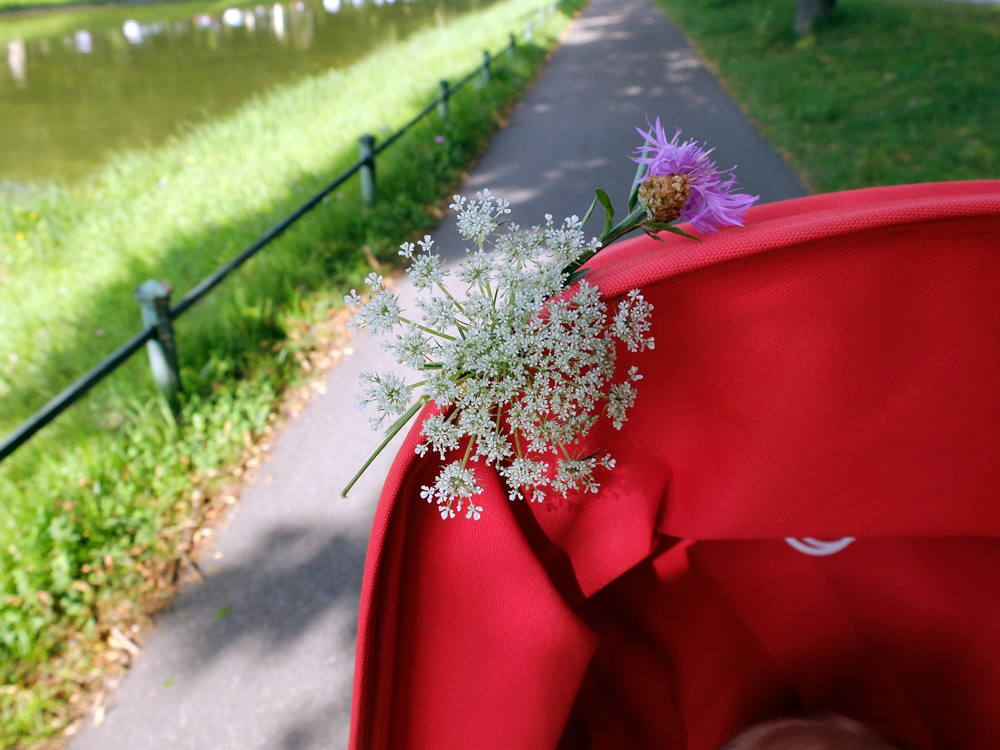 Blumen für den Kinderwagen | Julie Fahrenheit