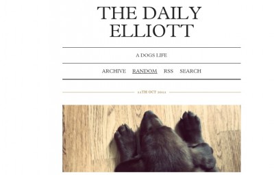 The Daily Elliott