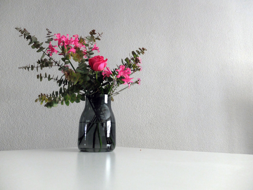 Die schönste Vase | Julie Fahrenheit