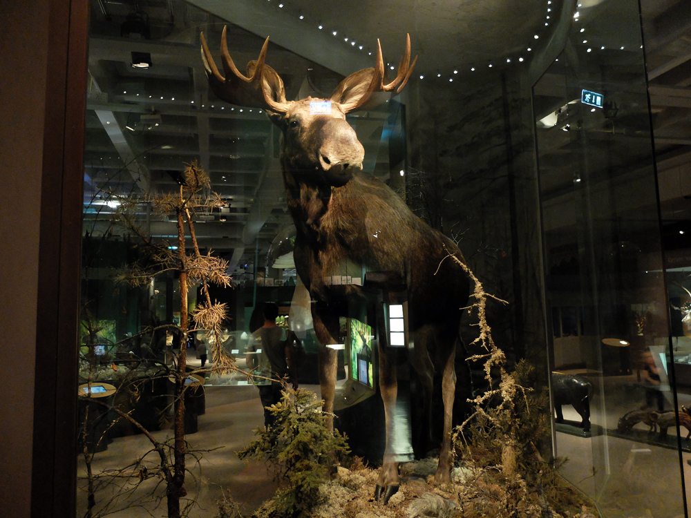Naturhistoriska Riksmuseet, Stockholm | Julie Fahrenheit